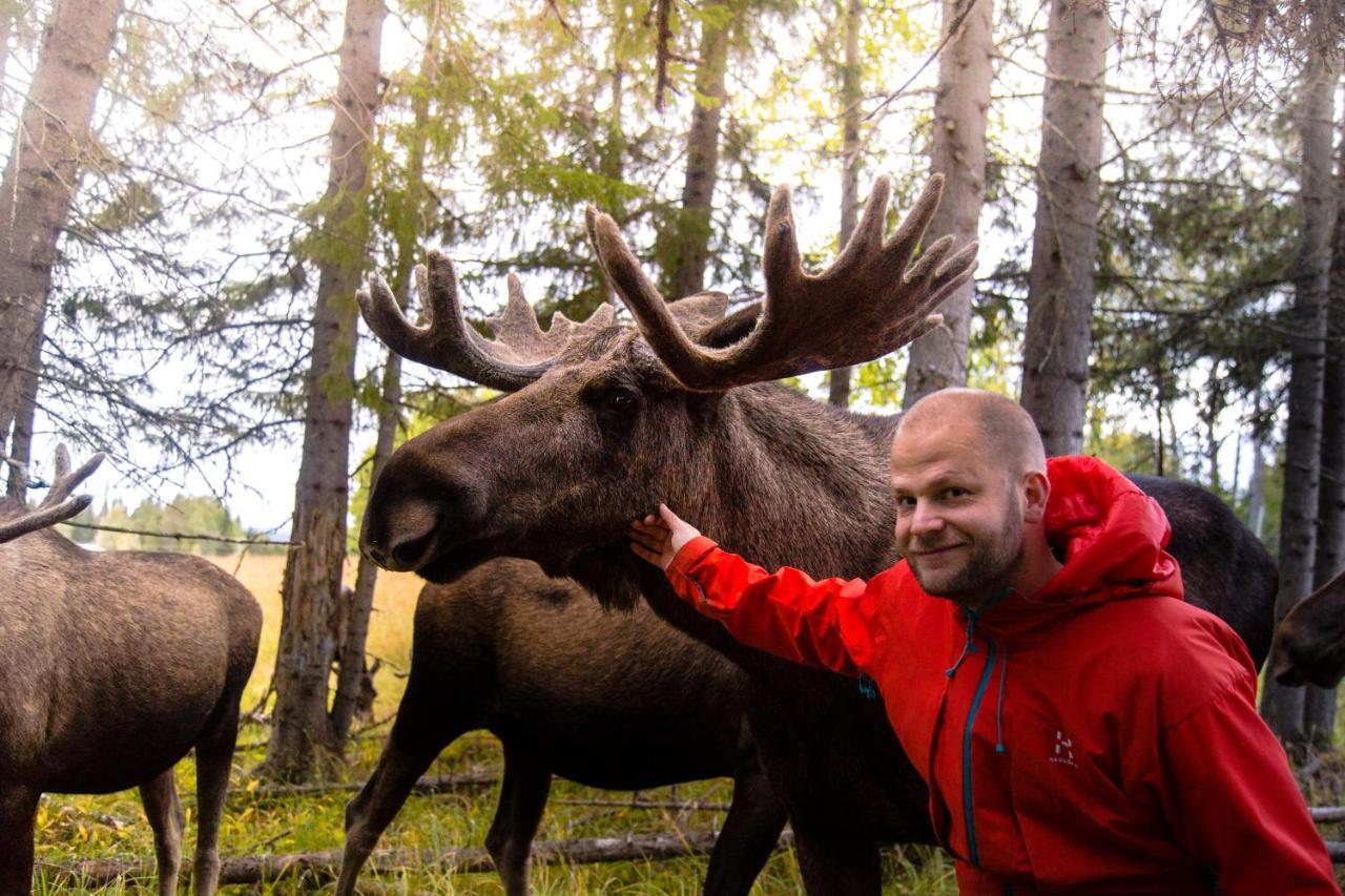 Вилла Moose Garden Orrviken Экстерьер фото