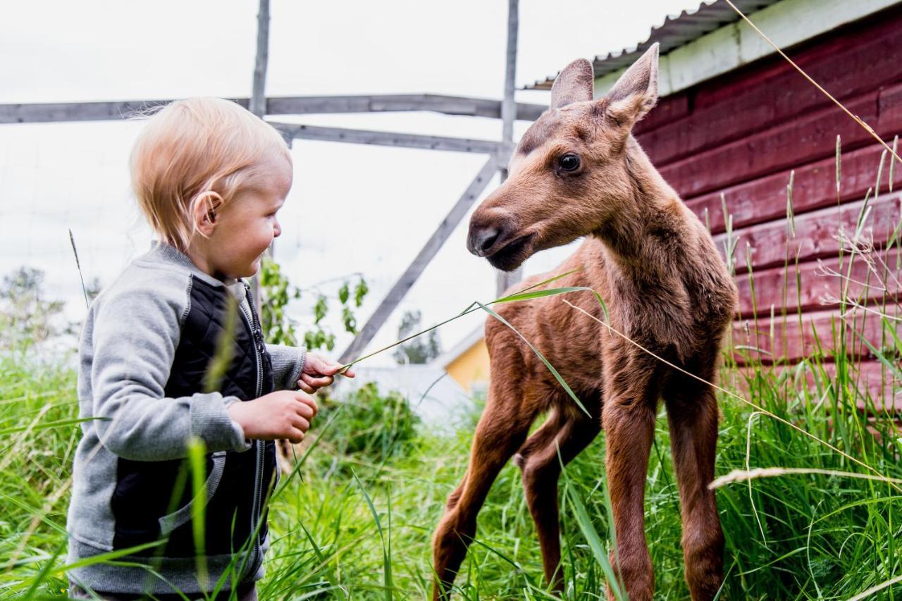 Вилла Moose Garden Orrviken Экстерьер фото